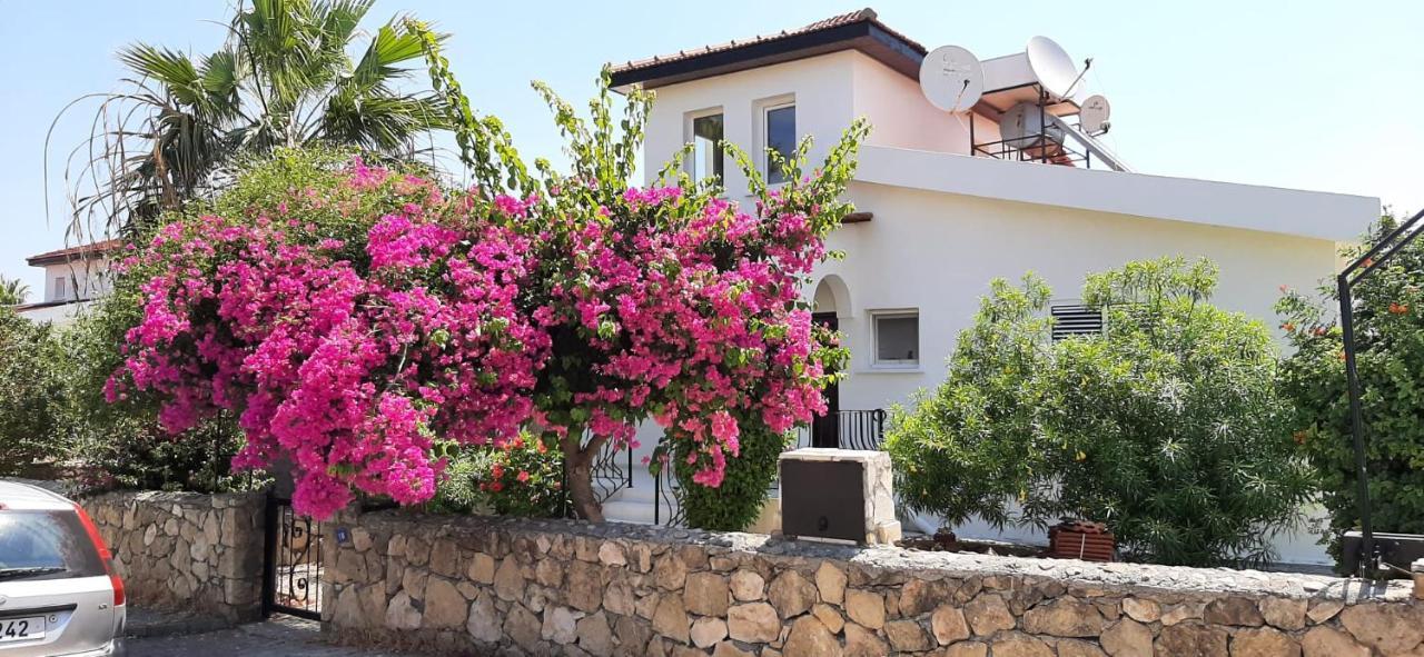 Villa Bougainvillea With Privite Pool Vaszília Kültér fotó