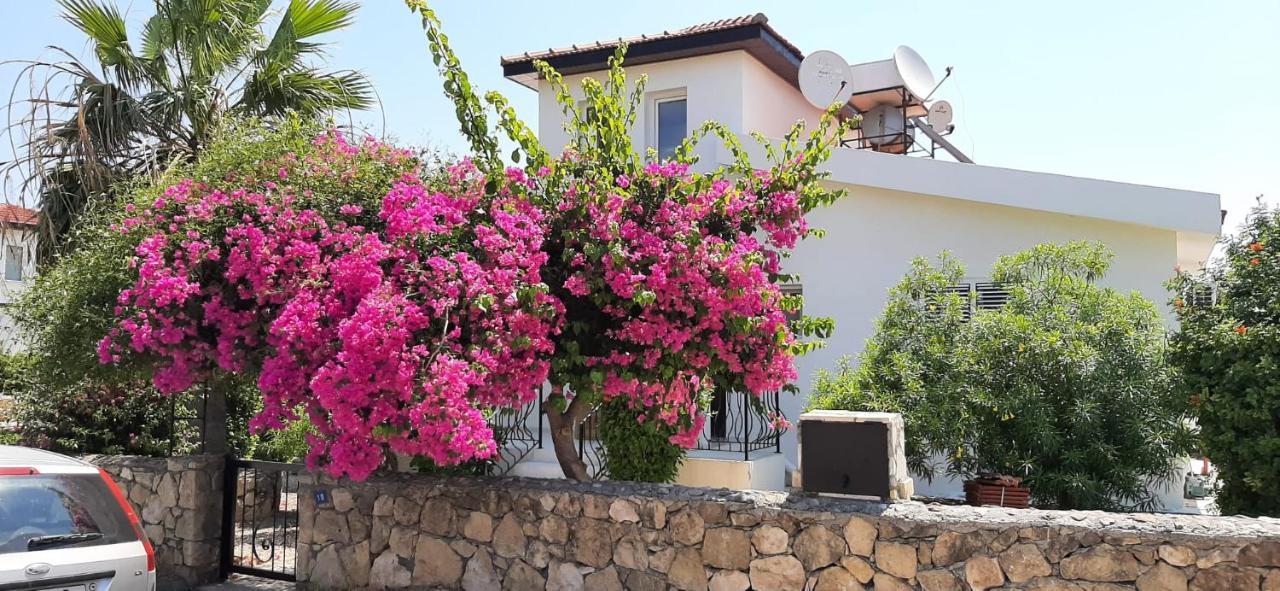 Villa Bougainvillea With Privite Pool Vaszília Kültér fotó