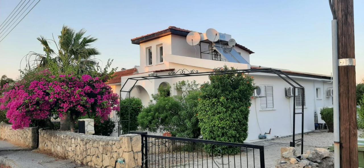 Villa Bougainvillea With Privite Pool Vaszília Kültér fotó