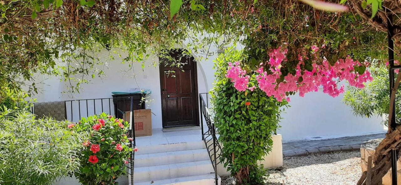 Villa Bougainvillea With Privite Pool Vaszília Kültér fotó